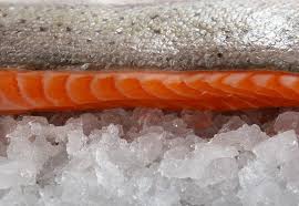 Salmon conservado a 1ºC